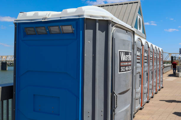 Best Utility Line Clearance  in Placitas, NM